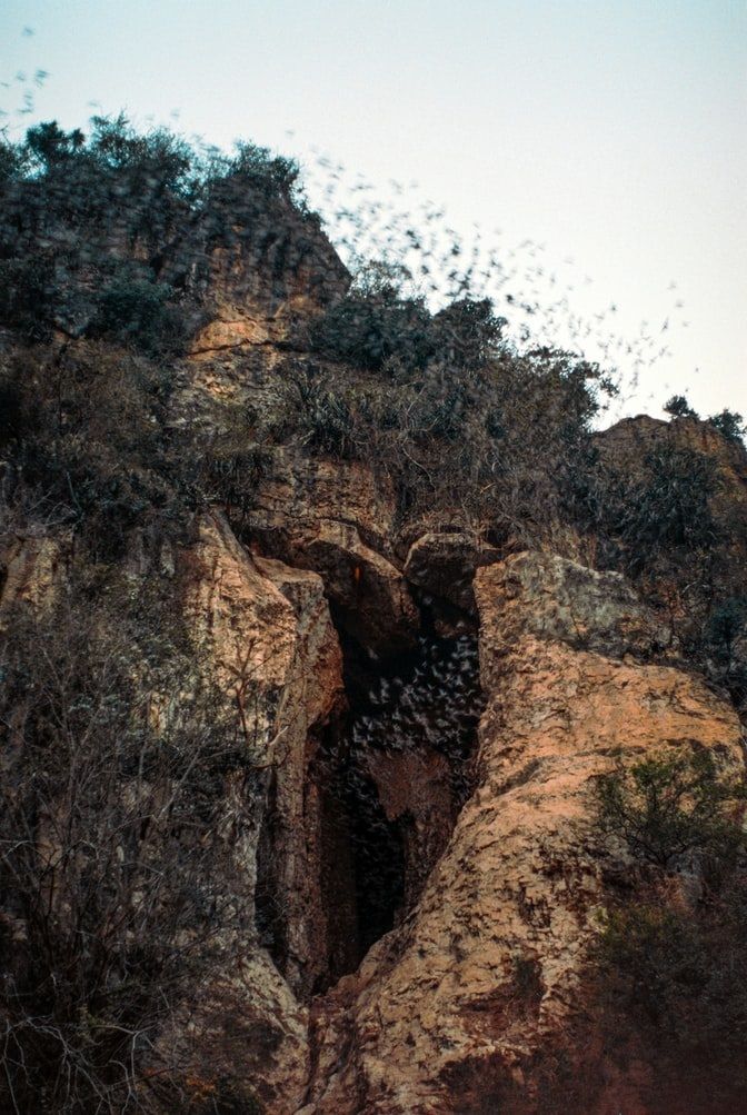 Sunset And Batcave In Battambang Tuk-Tuk Tour - TakeMeTour